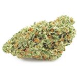 Шишки OG Kush  (Гидропоника, бошки) VHQ в Керчи